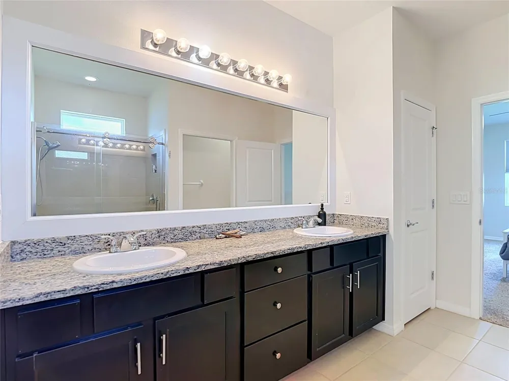 31686 TANSY BEND Wesley Chapel, FL 33545