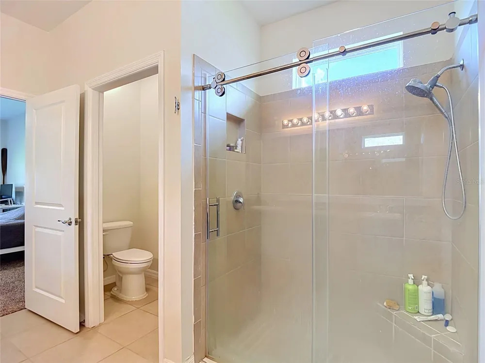 31686 TANSY BEND Wesley Chapel, FL 33545