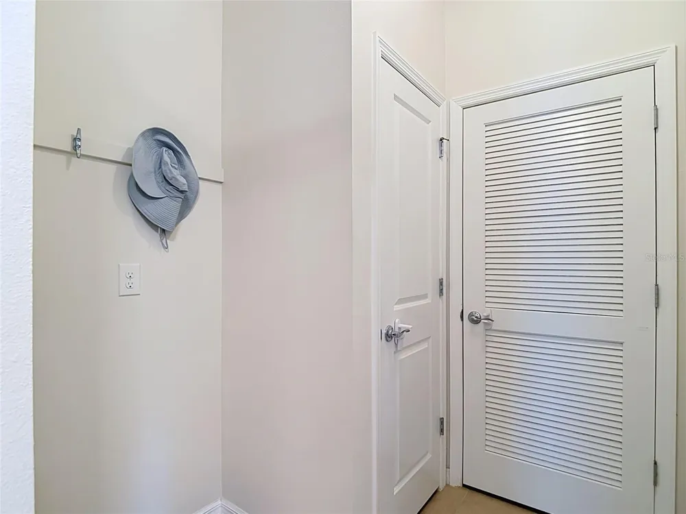 31686 TANSY BEND Wesley Chapel, FL 33545