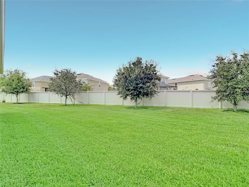 31686 TANSY BEND Wesley Chapel, FL 33545