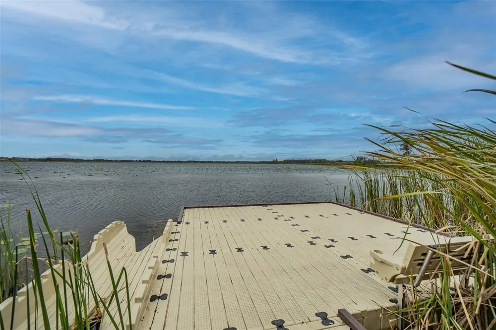 31686 TANSY BEND Wesley Chapel, FL 33545