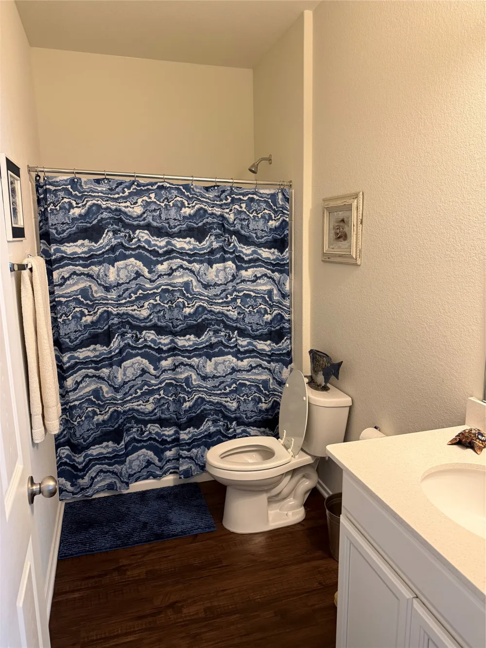 281 La Dera Drive Liberty Hill, TX 78642