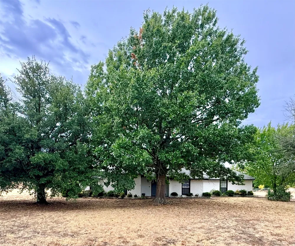 16235 Red Wood Circle W Frisco, TX 75071