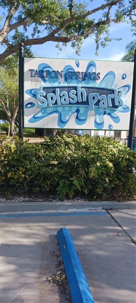 229 DIXIE Tarpon Springs, FL 34689