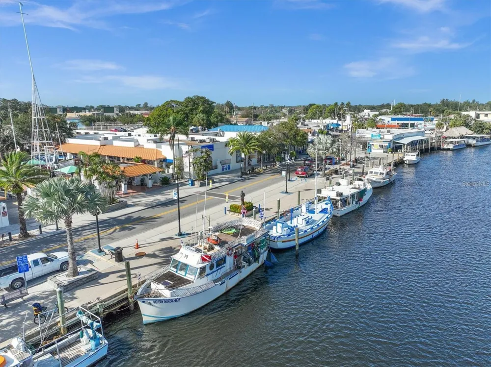 229 DIXIE Tarpon Springs, FL 34689