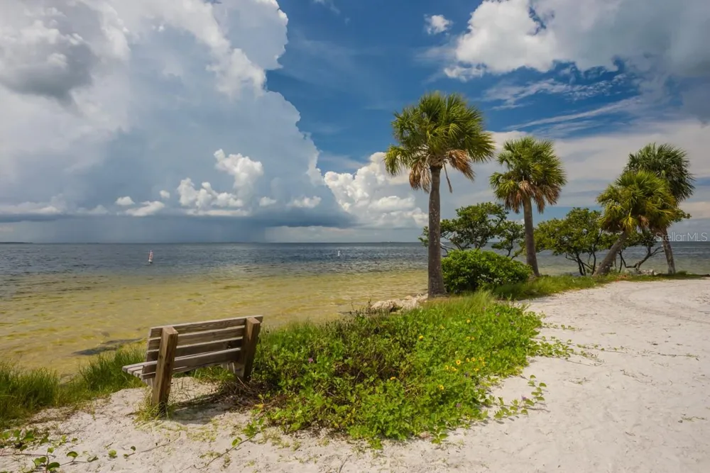 229 DIXIE Tarpon Springs, FL 34689