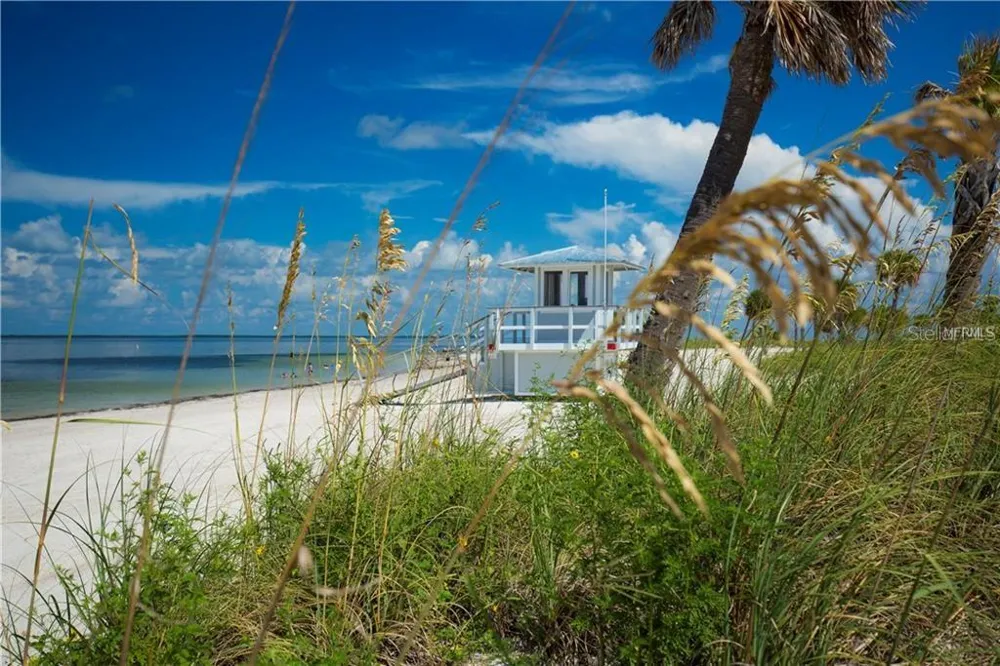229 DIXIE Tarpon Springs, FL 34689