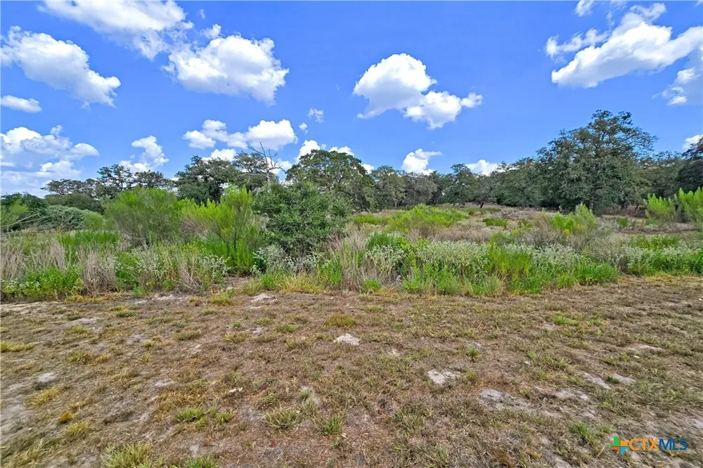 1501 Kothmann Drive Seguin, TX 78155