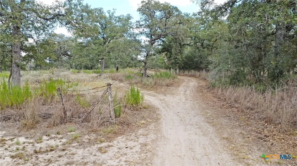 1501 Kothmann Drive Seguin, TX 78155