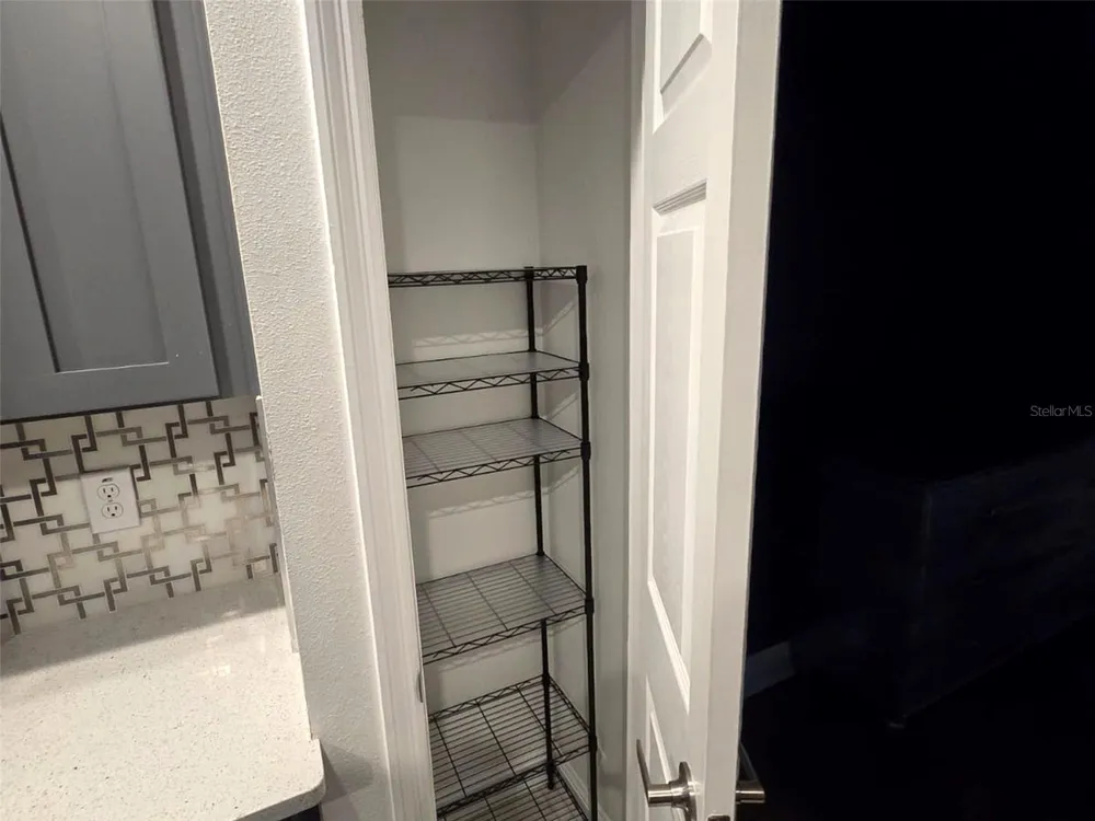 30039 MOSSBANK DRIVE Wesley Chapel, FL 33543