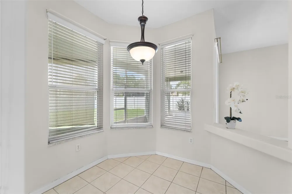 7040 FRASCATI LOOP Wesley Chapel, FL 33544