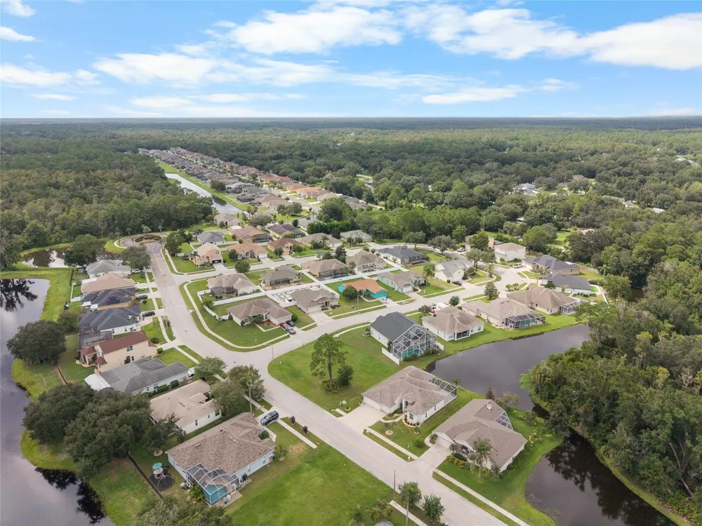 7040 FRASCATI LOOP Wesley Chapel, FL 33544