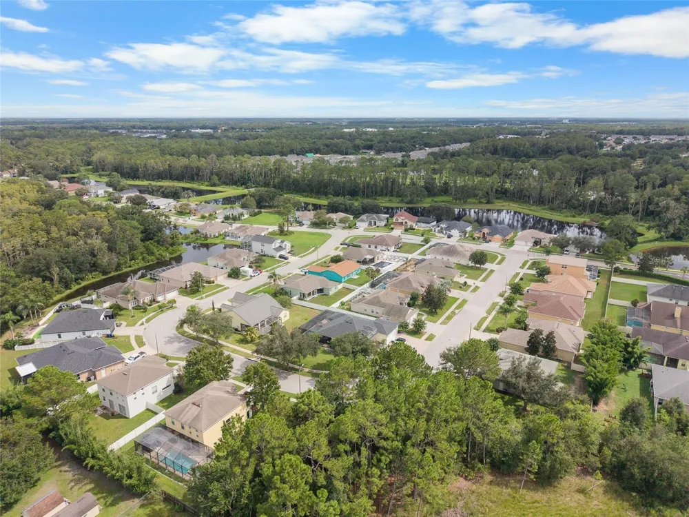 7040 FRASCATI LOOP Wesley Chapel, FL 33544