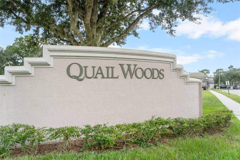 7040 FRASCATI LOOP Wesley Chapel, FL 33544