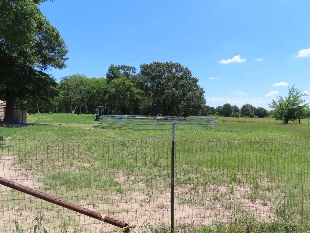 2099 County Road 3420 Leesburg, TX 75451
