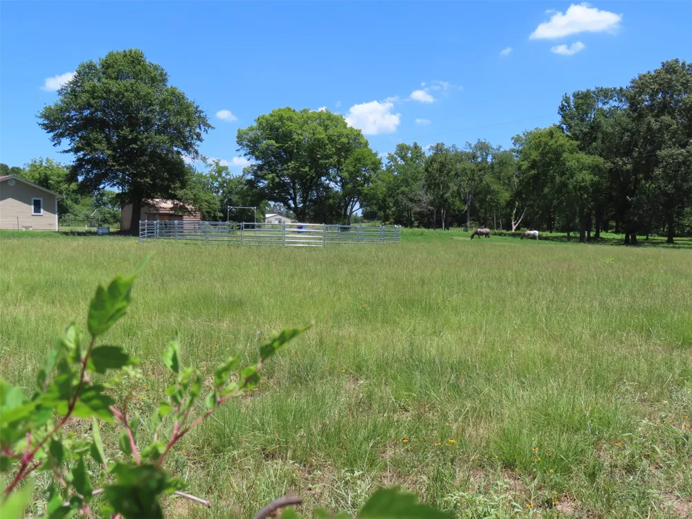 2099 County Road 3420 Leesburg, TX 75451