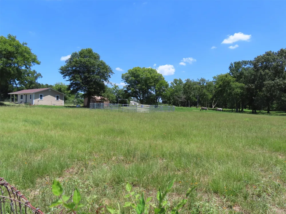 2099 County Road 3420 Leesburg, TX 75451