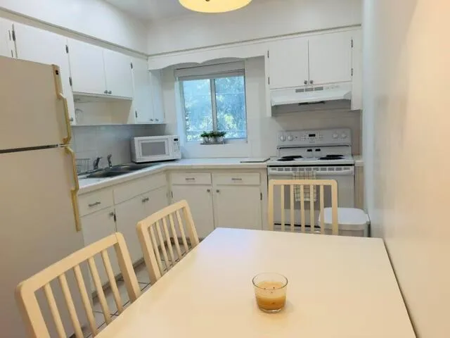 1100 ATLANTIC SHORES BOULEVARD #409 Hallandale Beach, FL 33009