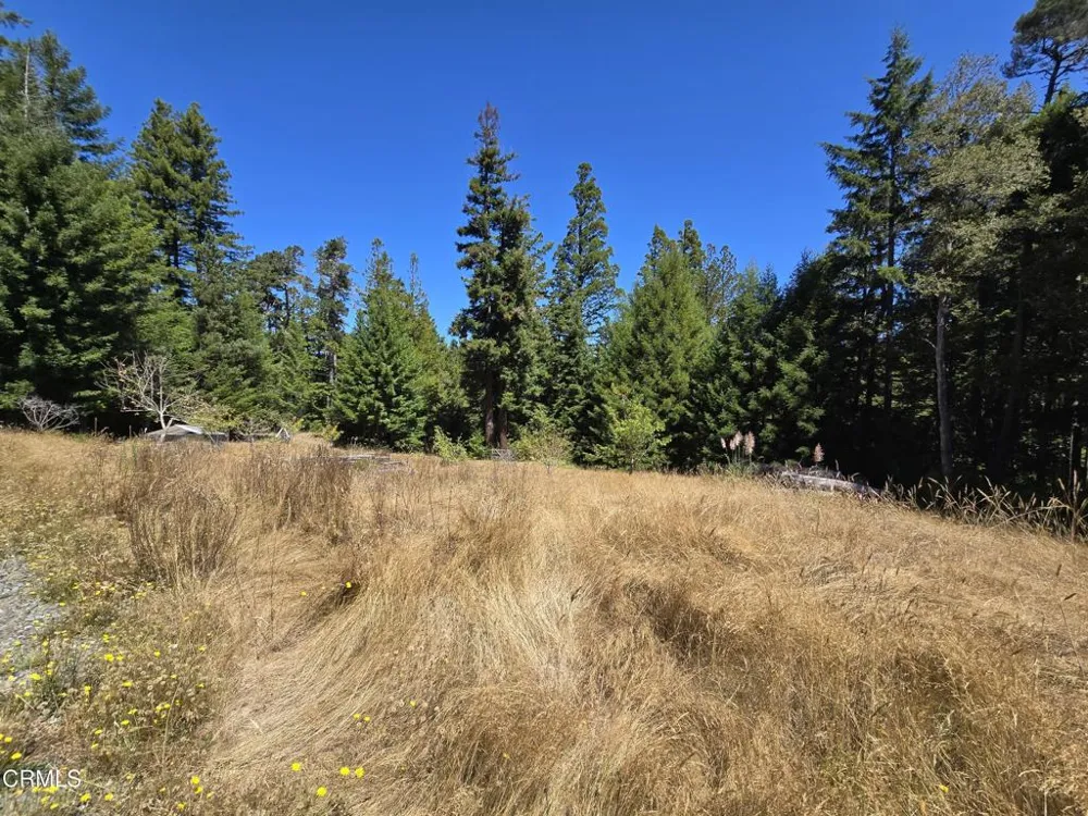 40741 Garcia River Road Point Arena, CA 95468