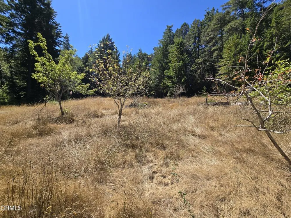 40741 Garcia River Road Point Arena, CA 95468