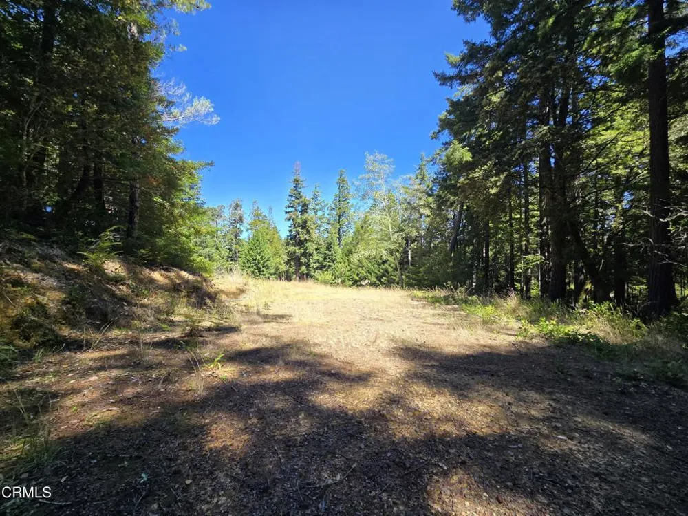 40741 Garcia River Road Point Arena, CA 95468