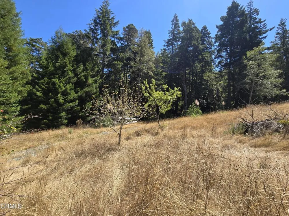 40741 Garcia River Road Point Arena, CA 95468