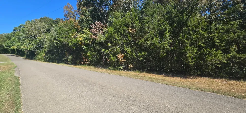 0 Creek View Rd Columbia, TN 38401