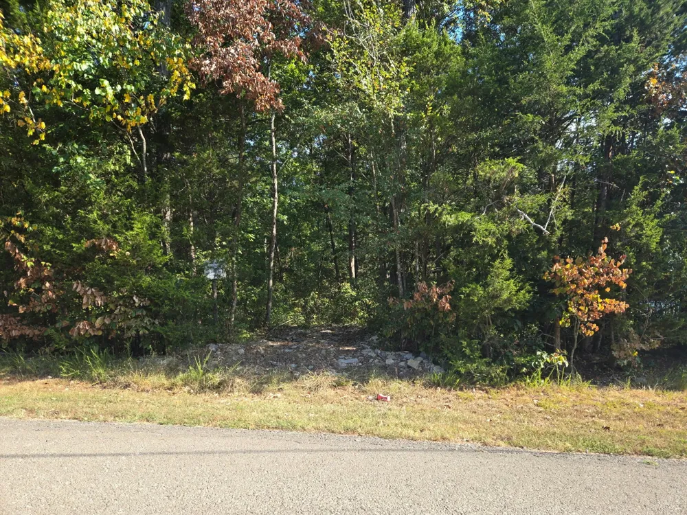 0 Creek View Rd Columbia, TN 38401