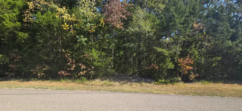 0 Creek View Rd Columbia, TN 38401