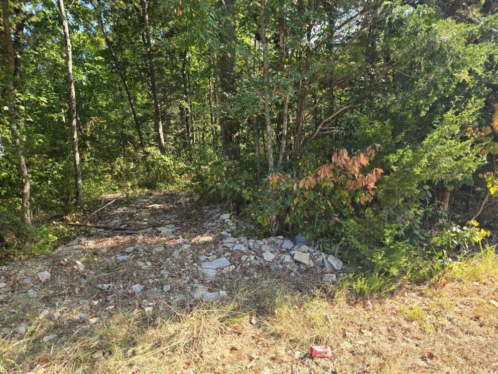 0 Creek View Rd Columbia, TN 38401