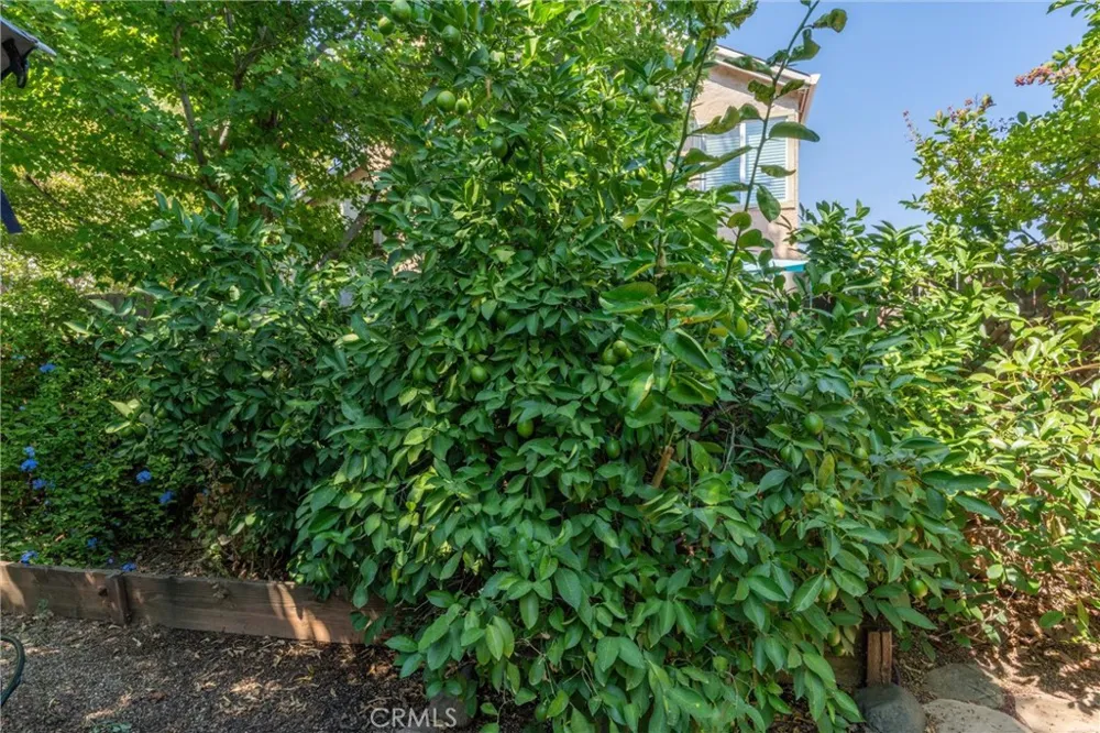 154 Remington Chico, CA 95928