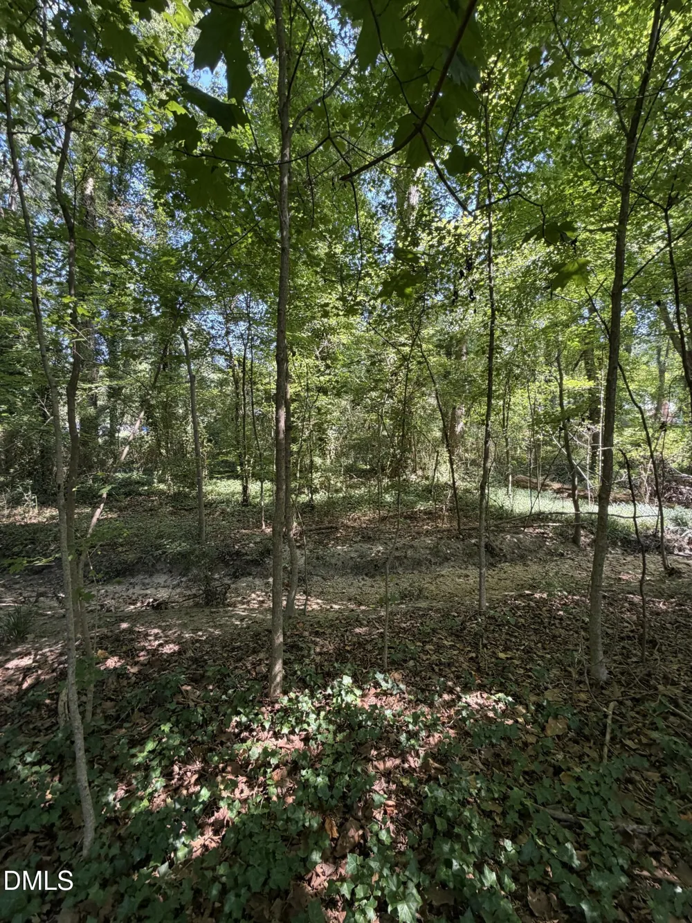 5400 Juniper Avenue Raleigh, NC 27603