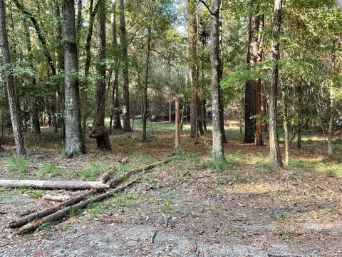 Winding Creek Drive