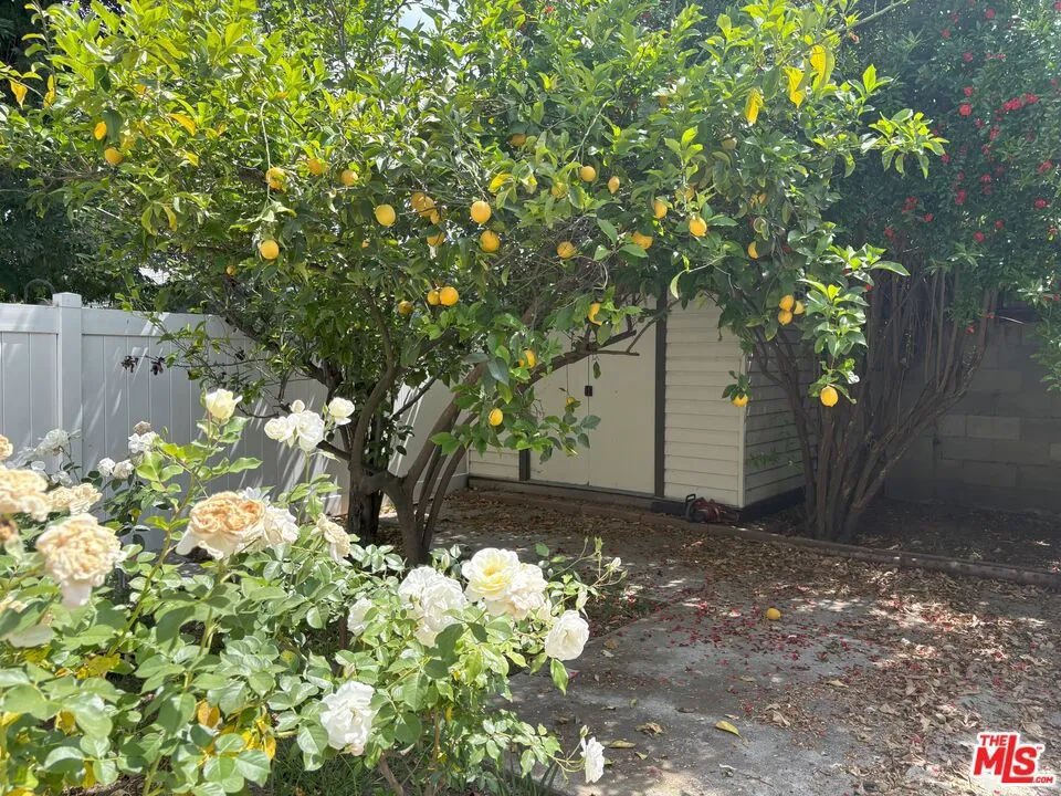 16699 Morrison Street Encino, CA 91436