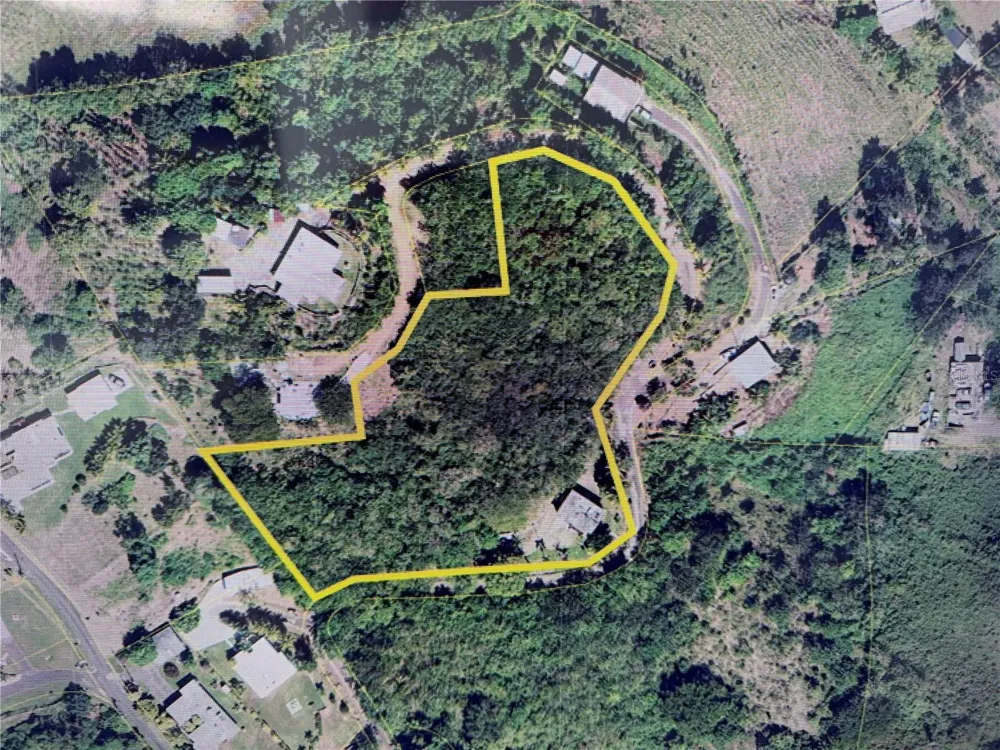 0.7 KM CARR. 184 BO. CACAO ALTO Patillas, PR 00723
