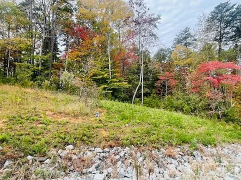 0 Enchanted Way #9