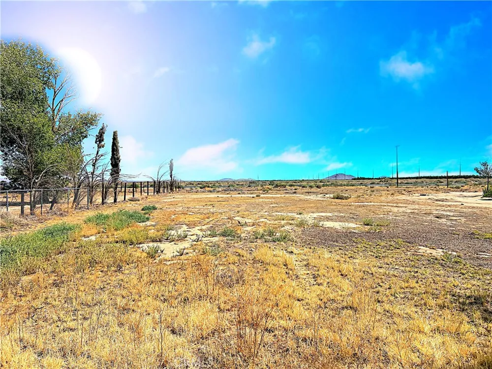 38510 159th E Palmdale, CA 93591
