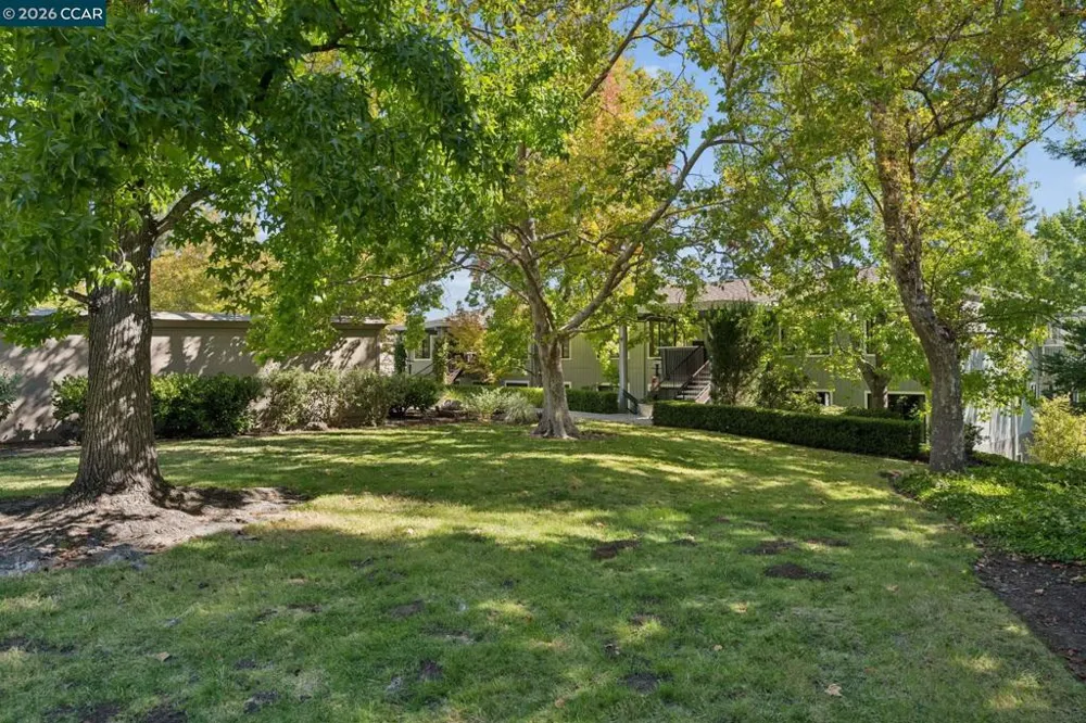 1349 Running Springs Rd #4 Walnut Creek, CA 94595