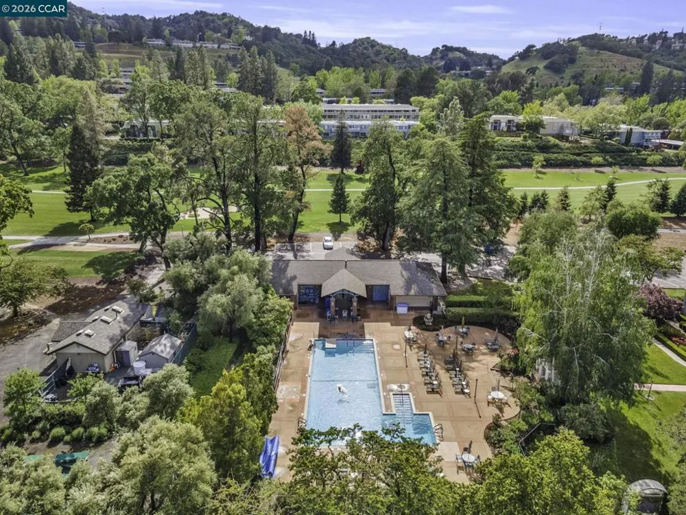 1349 Running Springs Rd #4 Walnut Creek, CA 94595