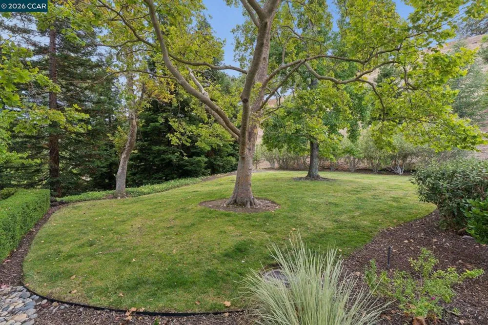1349 Running Springs Rd #4 Walnut Creek, CA 94595