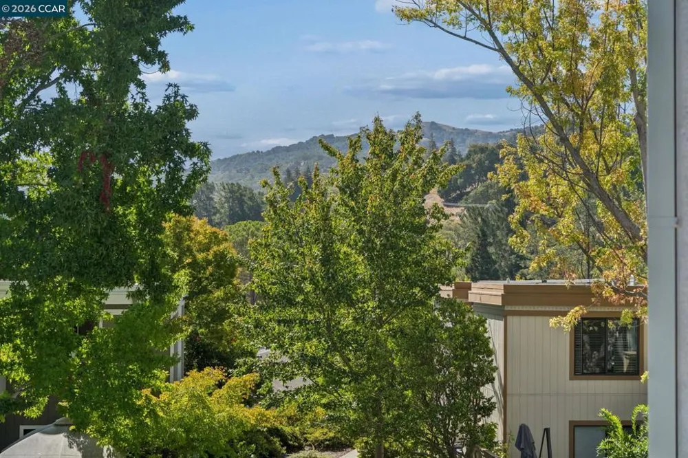 1349 Running Springs Rd #4 Walnut Creek, CA 94595