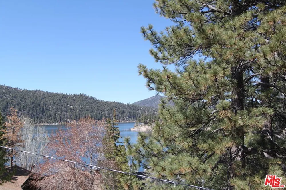 772 Cove Drive Big Bear, CA 92315