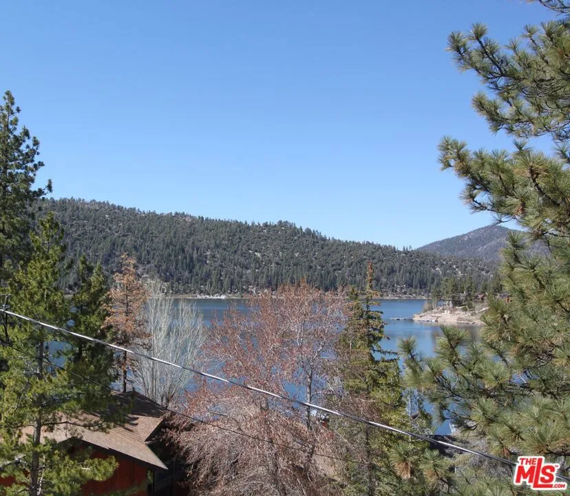 772 Cove Drive Big Bear, CA 92315