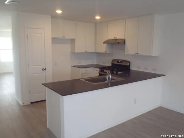 9229 Luciano Pl Seguin, TX 78155