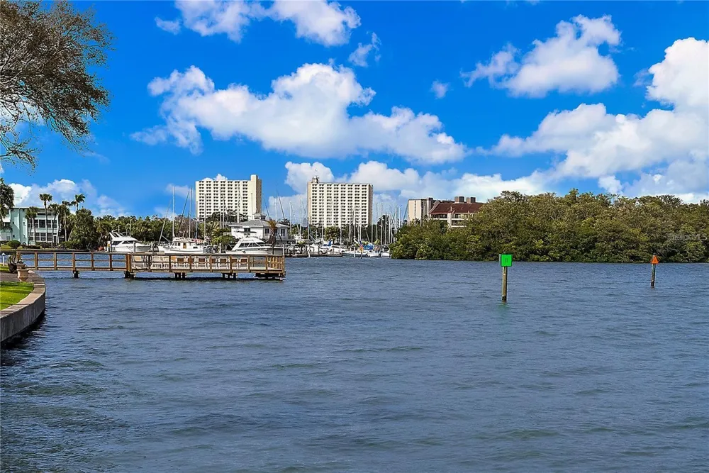 1859 SHORE DRIVE S #309 South Pasadena, FL 33707