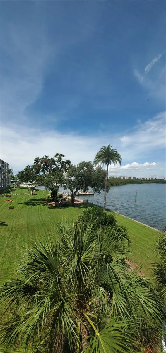 1859 SHORE DRIVE S #309 South Pasadena, FL 33707