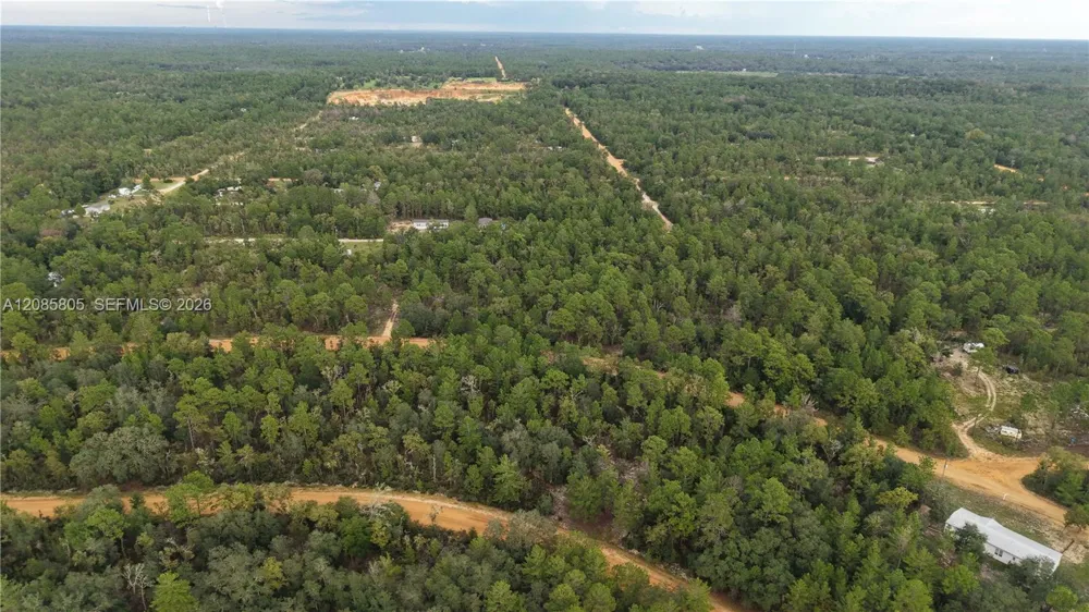 215 Lake Lucy Circle Other City - In The State Of Florida, FL 32148
