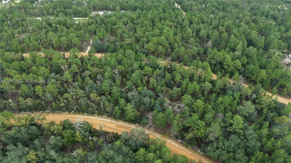 215 Lake Lucy Circle Other City - In The State Of Florida, FL 32148
