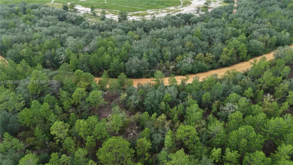 215 Lake Lucy Circle Other City - In The State Of Florida, FL 32148