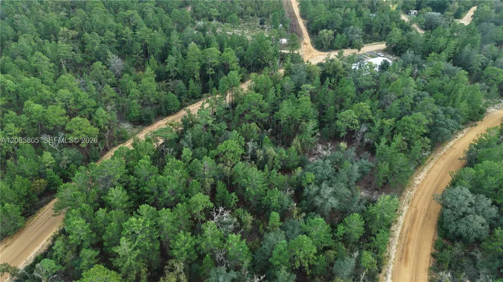 215 Lake Lucy Circle Other City - In The State Of Florida, FL 32148
